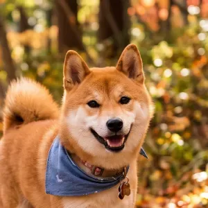 【参考】犬・ペットライフ発信者　※これは実在しない参考用プロフィールです。